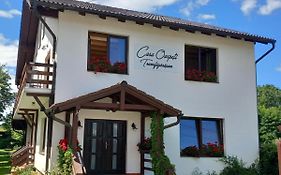 Casa Oaspeti Transfagarasan