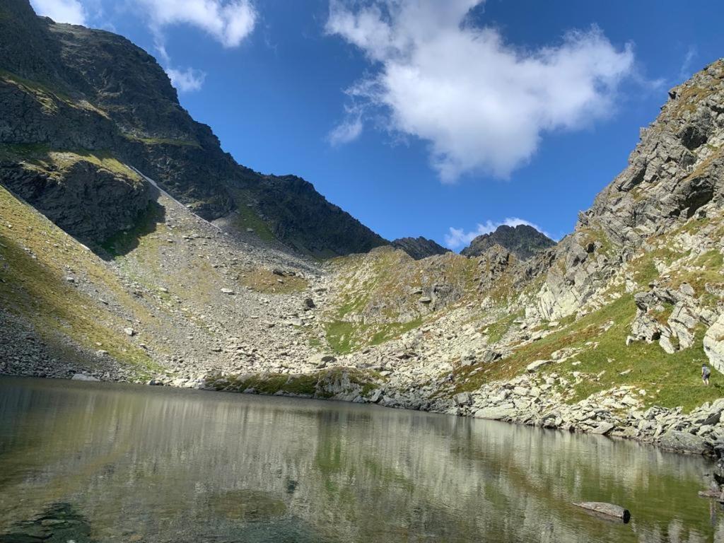 Apartamento Casa Oaspeti Transfagarasan Cîrţişoara Exterior foto
