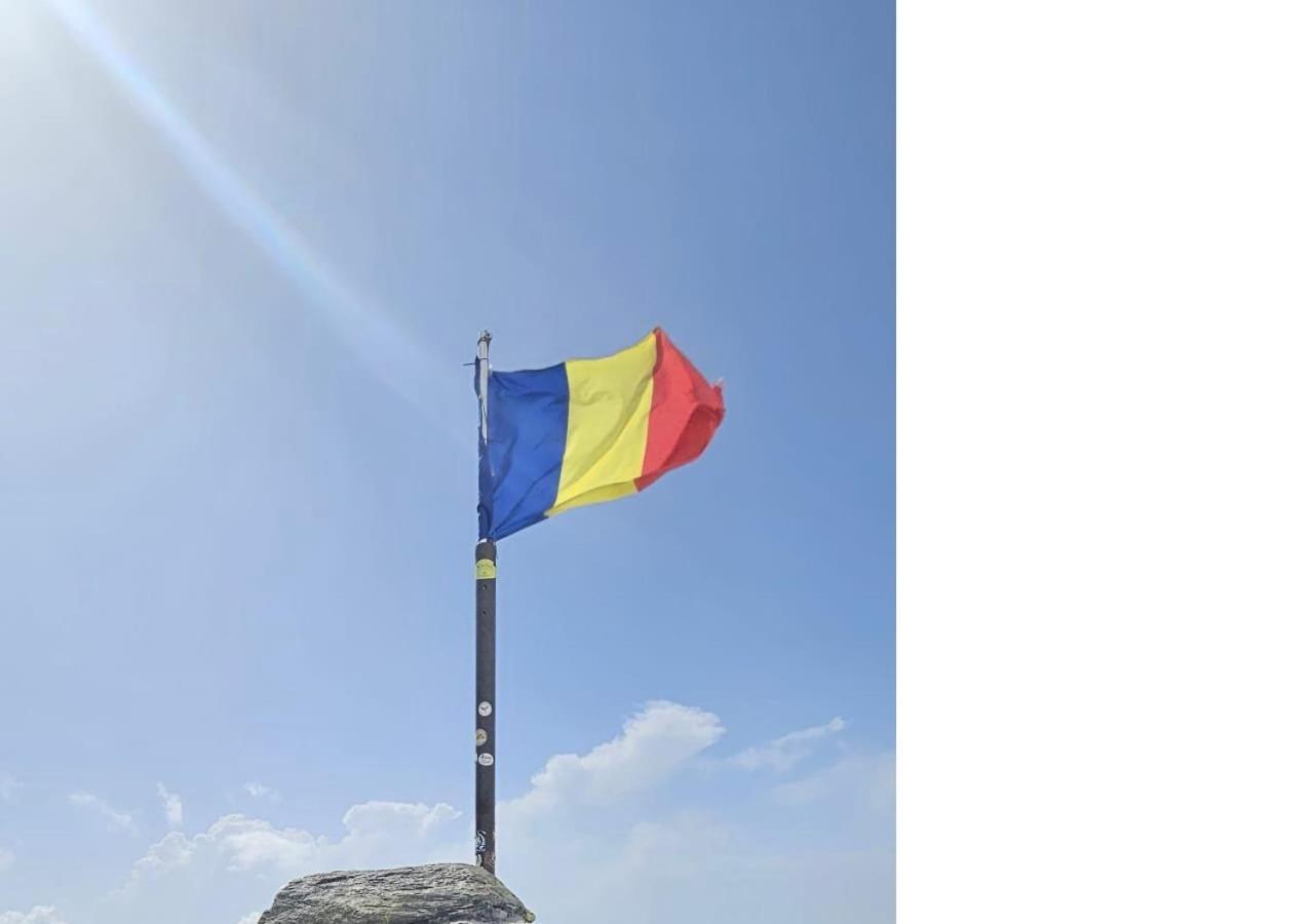 Apartamento Casa Oaspeti Transfagarasan Cîrţişoara Exterior foto